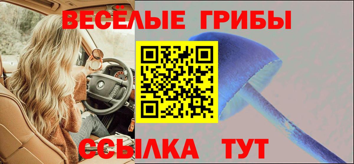 Рязань  Псилоцибиновые грибы Psilocybine cubensis  Вход с VPN 