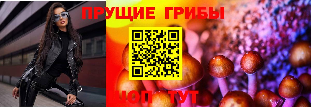 Псилоцибиновые грибы GOLDEN TEACHER Рязань